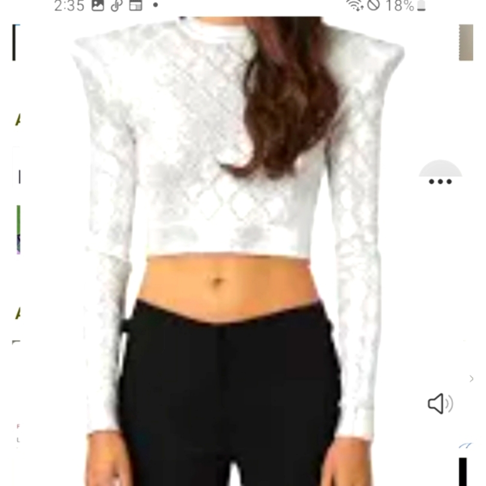 BALMAIN SILVER MESH CROP TOP DEAD STOCK NO LONGER  AVAIL.  ON LINE OR STORES
